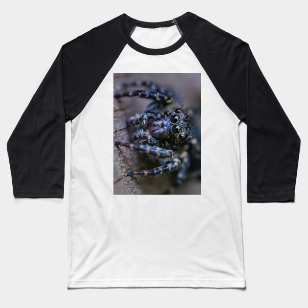 Teeny-Tiny Dark Jumping Spider Macro Photograph Baseball T-Shirt by love-fi